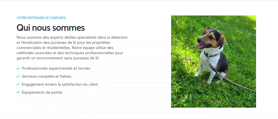 Screenshot from 2026-03-28 12-20-33